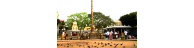 திருவலிதாயம், பாடி , சென்னை